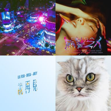 2019 年度歌單