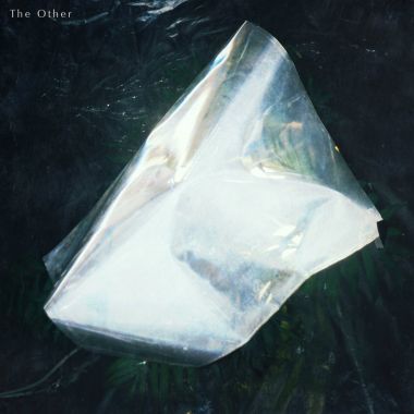 他者the other