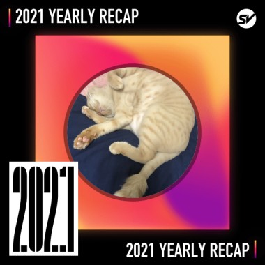 2021 個人年度精選之最