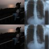 小飛象