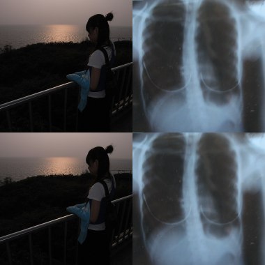 小飛象
