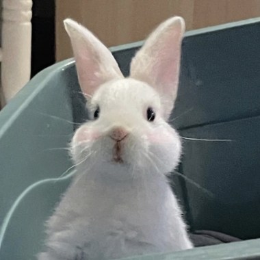 這是我小六創的歌單，很難聽但我要留著紀念