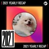 2021 個人年度精選之最