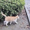 (づ ●─● )づ