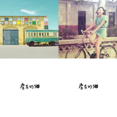 房東的貓