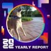 2022 個人年度精選