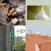我的歌單 1