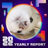 2022 個人年度精選