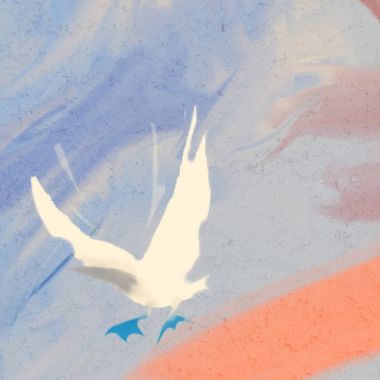 20202.6