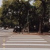 一聽就愛上