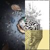 2018.5.12新歌單
