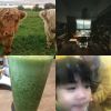 Ernestwang