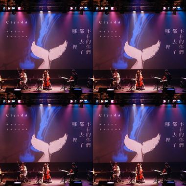 cicada live jp
