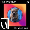 2021 個人年度精選之最