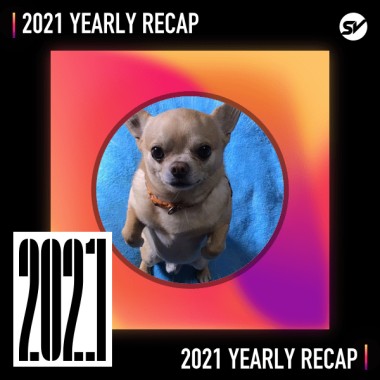 2021 個人年度精選之最