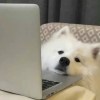 讀書好累來放鬆一下吧