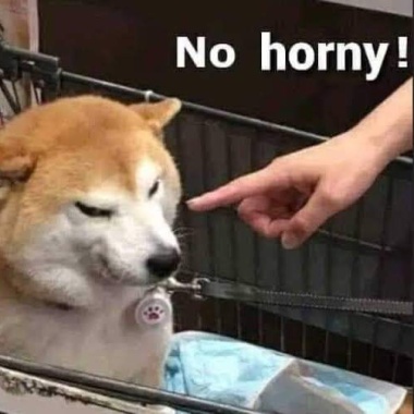 無情循環