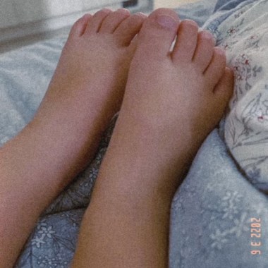 魚