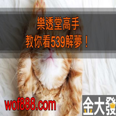 樂透堂高手！教你看539解夢