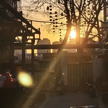 秘密基地