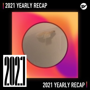 2021 個人年度精選之最