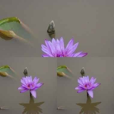 緣起千年(G