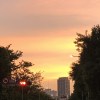 沒有力氣的時候耳朵只吃得下這些(˚ ˃̣̣̥⌓˂̣̣̥ )