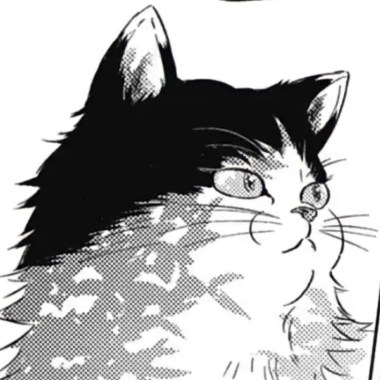 戒