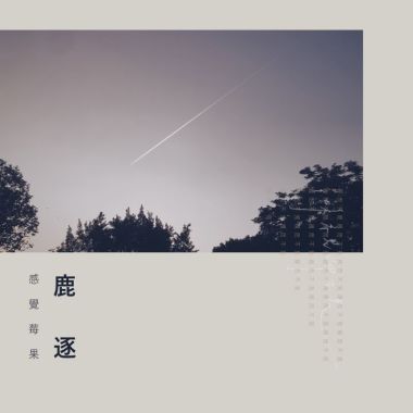 我的歌單