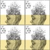 Mary see the future- My fake true love