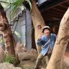 原子邦妮