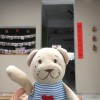 小太陽QD☼