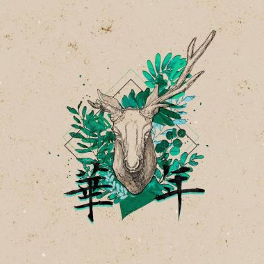 我的歌单  