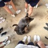 活著