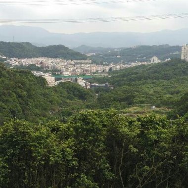 我的歌單  