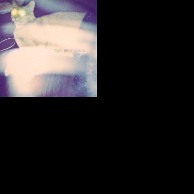 劈哩啪啦，電子狂歡
