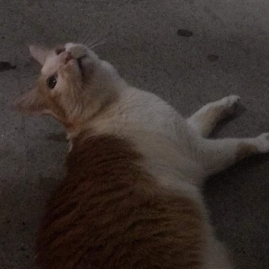 超
