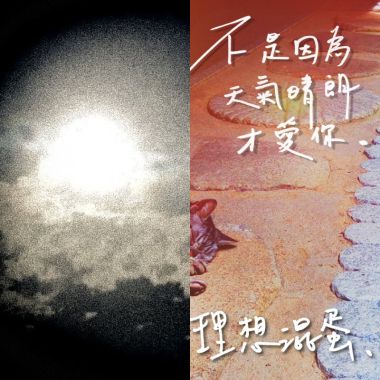 理想混蛋