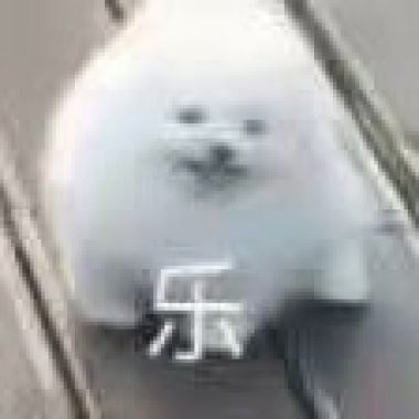 啦啦啦~
