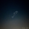 Project Forte