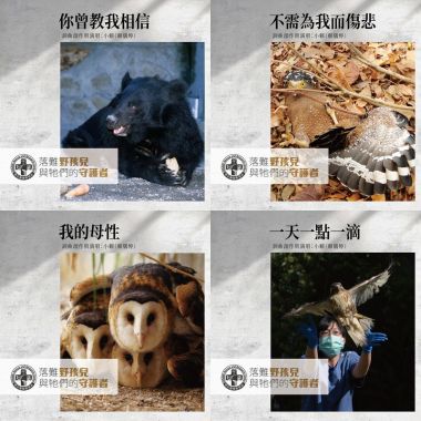音樂會
