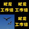 饶舌