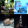 理想混蛋