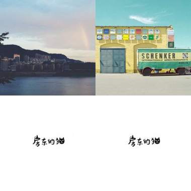 房東的貓