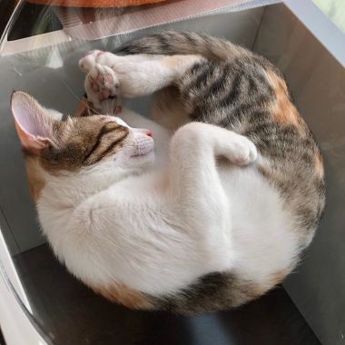 運彩怎麼買