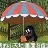 坡