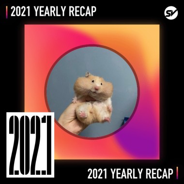 2021 個人年度精選之最