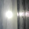 芭比の歌單