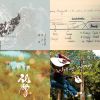 瑜伽/看書