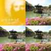 幼兒啦啦隊